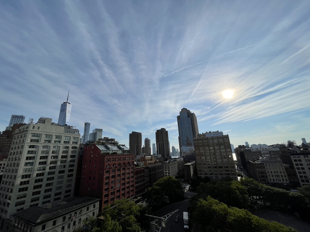 New York City Views